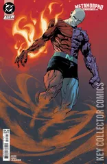 Variant Cover for Metamorpho: The Element Man #6