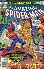 Cover for Amazing Spider-Man #173
