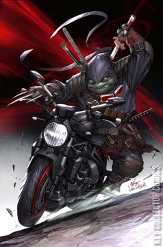 Variant Cover for Teenage Mutant Ninja Turtles: The Last Ronin #5