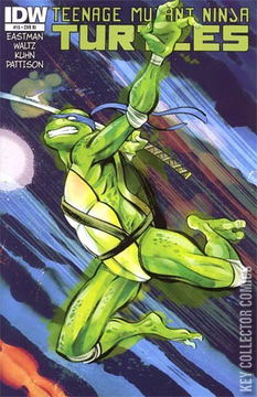 Variant Cover for Teenage Mutant Ninja Turtles #15