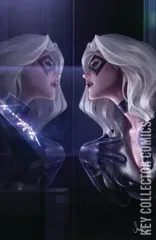 Variant Cover for Black Cat #2