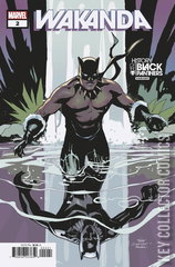 Variant Cover for Wakanda #2