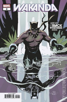Variant Cover for Wakanda #2