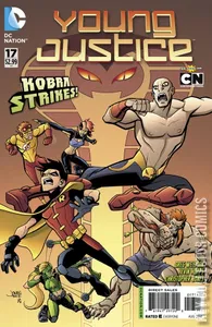 Young Justice #17