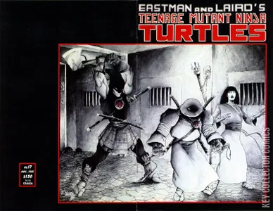 Teenage Mutant Ninja Turtles #17