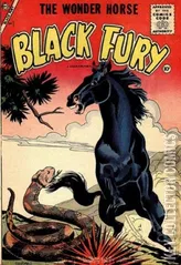 Cover for Black Fury #7