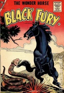 Black Fury #7