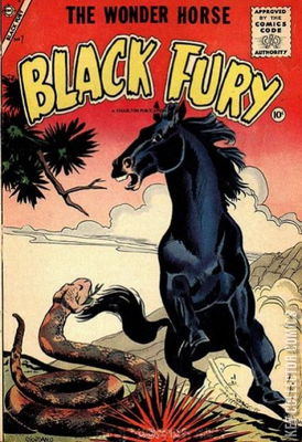 Black Fury