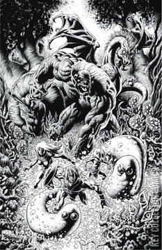 Variant Cover for Herculoids #5