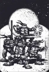 Variant Cover for Teenage Mutant Ninja Turtles: Boxed Set - Torpedo Comics