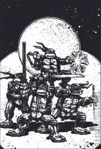 Teenage Mutant Ninja Turtles: Boxed Set - Torpedo Comics