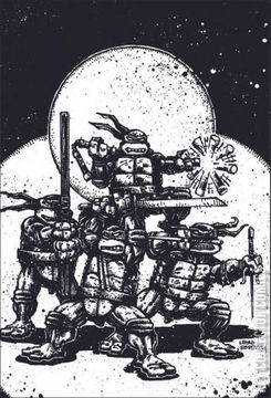 Variant Cover for Teenage Mutant Ninja Turtles: Boxed Set - Torpedo Comics