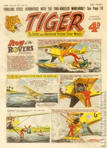Tiger #133