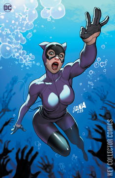 Variant Cover for Catwoman #63