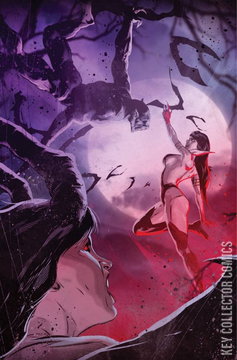 Variant Cover for Vampirella vs. Purgatori #5