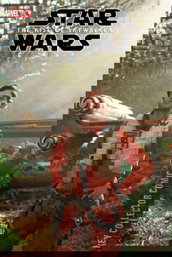 Variant Cover for Star Wars: The Rise of Skywalker #4