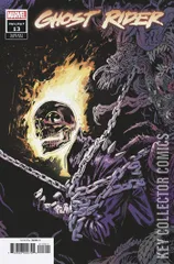 Variant Cover for Ghost Rider #13