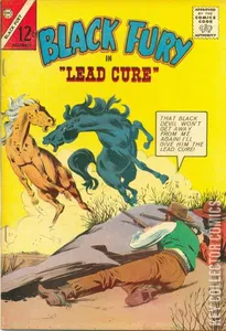 Black Fury #45