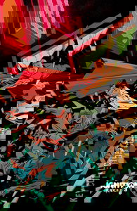 Extraction: Beginnings #1