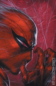 Variant Cover for Amazing Spider-Man #800