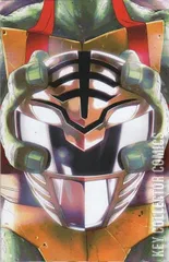 Variant Cover for Mighty Morphin Power Rangers / Teenage Mutant Ninja Turtles #3