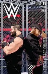 Cover for WWE #18