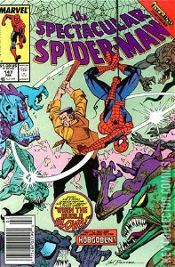 Peter Parker: The Spectacular Spider-Man #147 