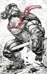 Variant Cover for Teenage Mutant Ninja Turtles #108