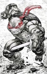 Teenage Mutant Ninja Turtles #108 