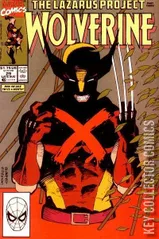 Cover for Wolverine #29