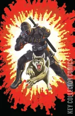 Variant Cover for G.I. Joe: A Real American Hero #266