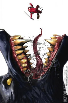 Variant Cover for Little Red Ronin #1