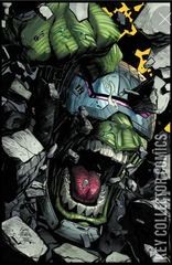 Variant Cover for Hulk #1