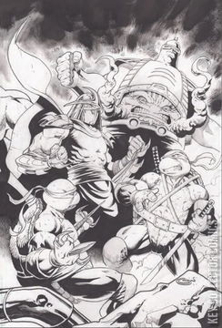Variant Cover for Teenage Mutant Ninja Turtles: Boxed Set - Torpedo Comics
