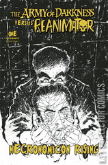 Variant Cover for Army of Darkness vs. Reanimator: Necronomicon Rising #1