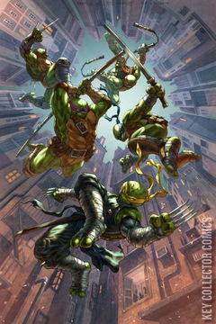 Variant Cover for Teenage Mutant Ninja Turtles #98