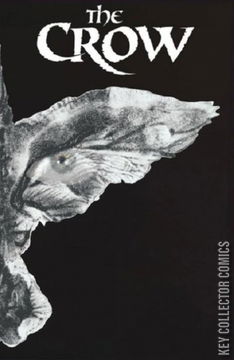 Variant Cover for The Crow: Death and Rebirth #1