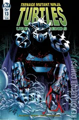 Variant Cover for Teenage Mutant Ninja Turtles: Urban Legends #13
