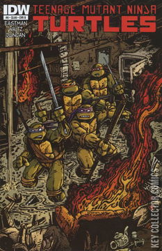 Variant Cover for Teenage Mutant Ninja Turtles #8