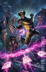 Variant Cover for Wolverine #17