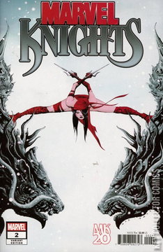Variant Cover for Marvel Knights 20th #2