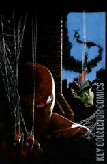 Variant Cover for Amazing Spider-Man #799