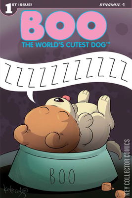 Boo: The World's Cutest Dog