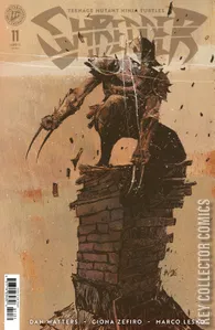 Teenage Mutant Ninja Turtles: Shredder #11