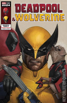 Variant Cover for Immortal Thor, The #13