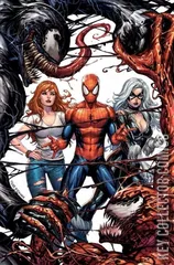 Variant Cover for Peter Parker: The Spectacular Spider-Man #300
