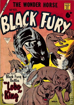 Black Fury