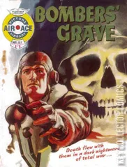 Cover for Air Ace Picture Library #81