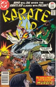Karate Kid #8