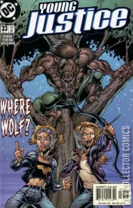 Young Justice #33